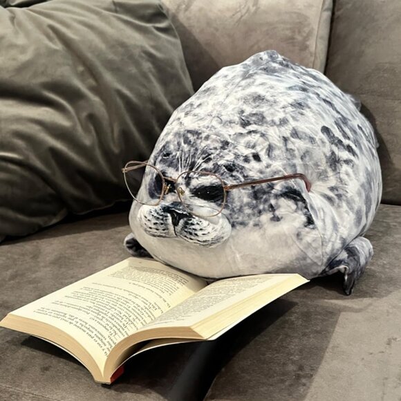Chubby Blob Seal Pillow Cute Seal Plush Toy Cotton Stuffed Animals (Large)